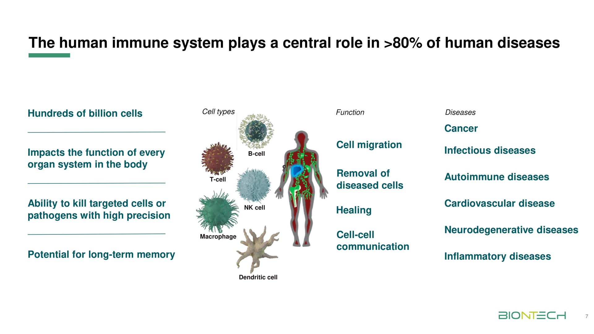 the human immune system plays a central role in of human diseases | BioNTech