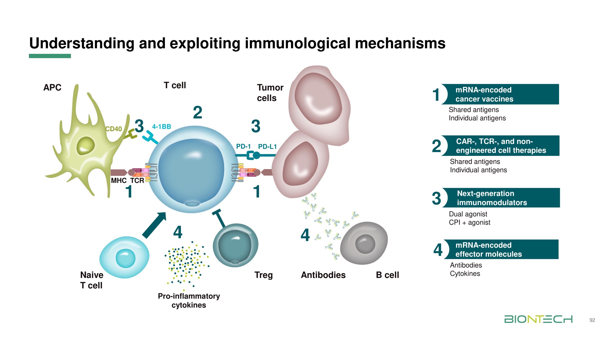 understanding and exploiting immunological mechanisms | BioNTech