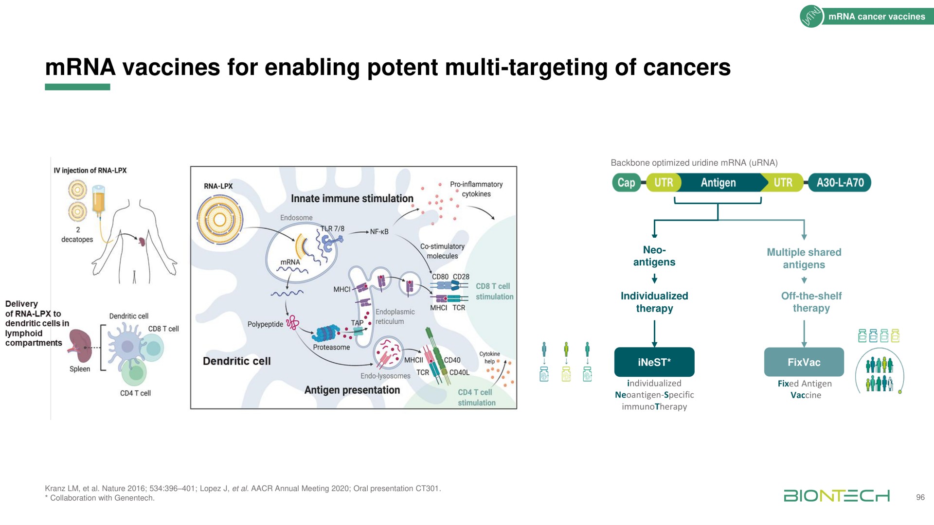 vaccines for enabling potent targeting of cancers | BioNTech