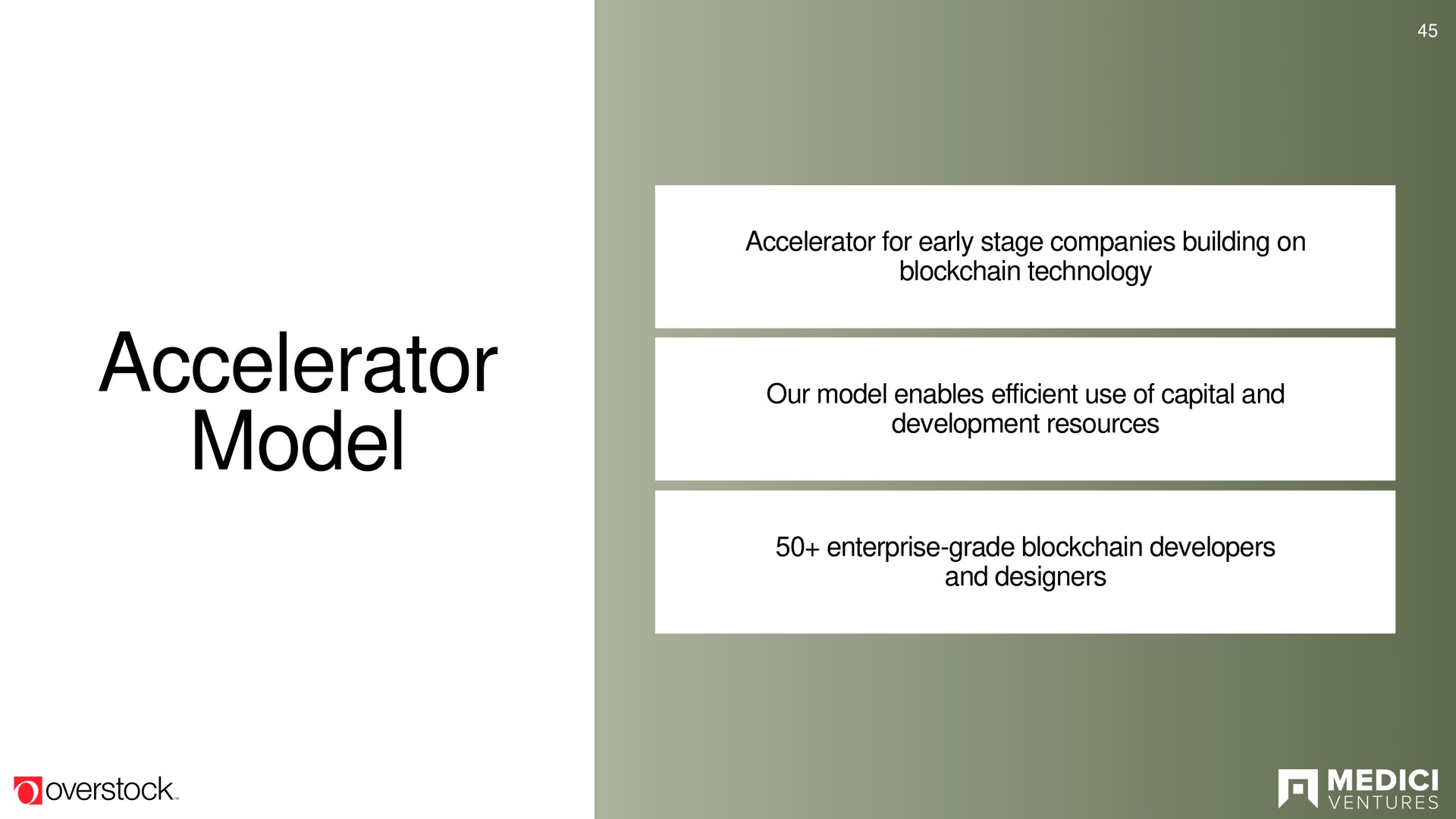 accelerator model | Overstock