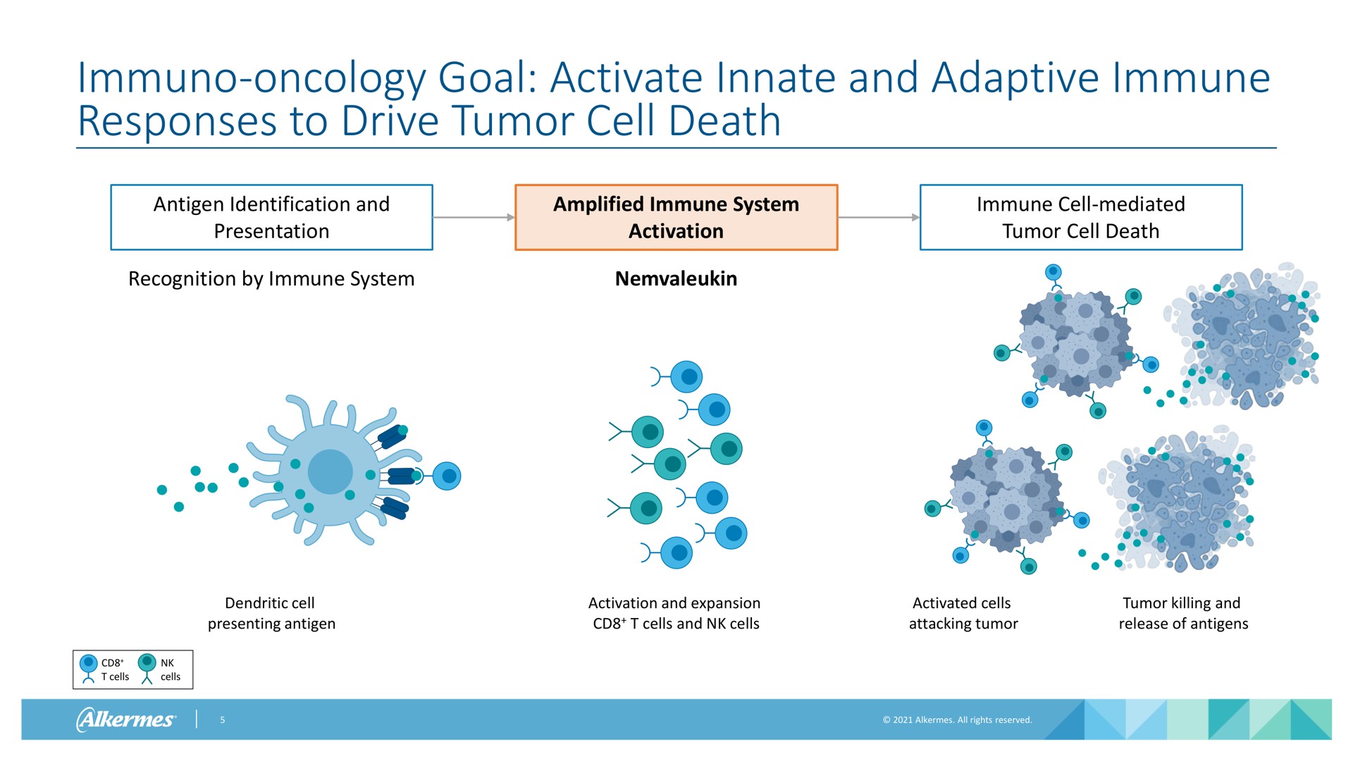 oncology goal activate innate and adaptive immune responses to drive tumor cell death antigen identification and presentation amplified immune system activation immune cell mediated tumor cell death recognition by immune system dendritic cell presenting antigen activation and expansion cells and cells activated cells attacking tumor tumor killing and release of antigens cells cells | Alkermes