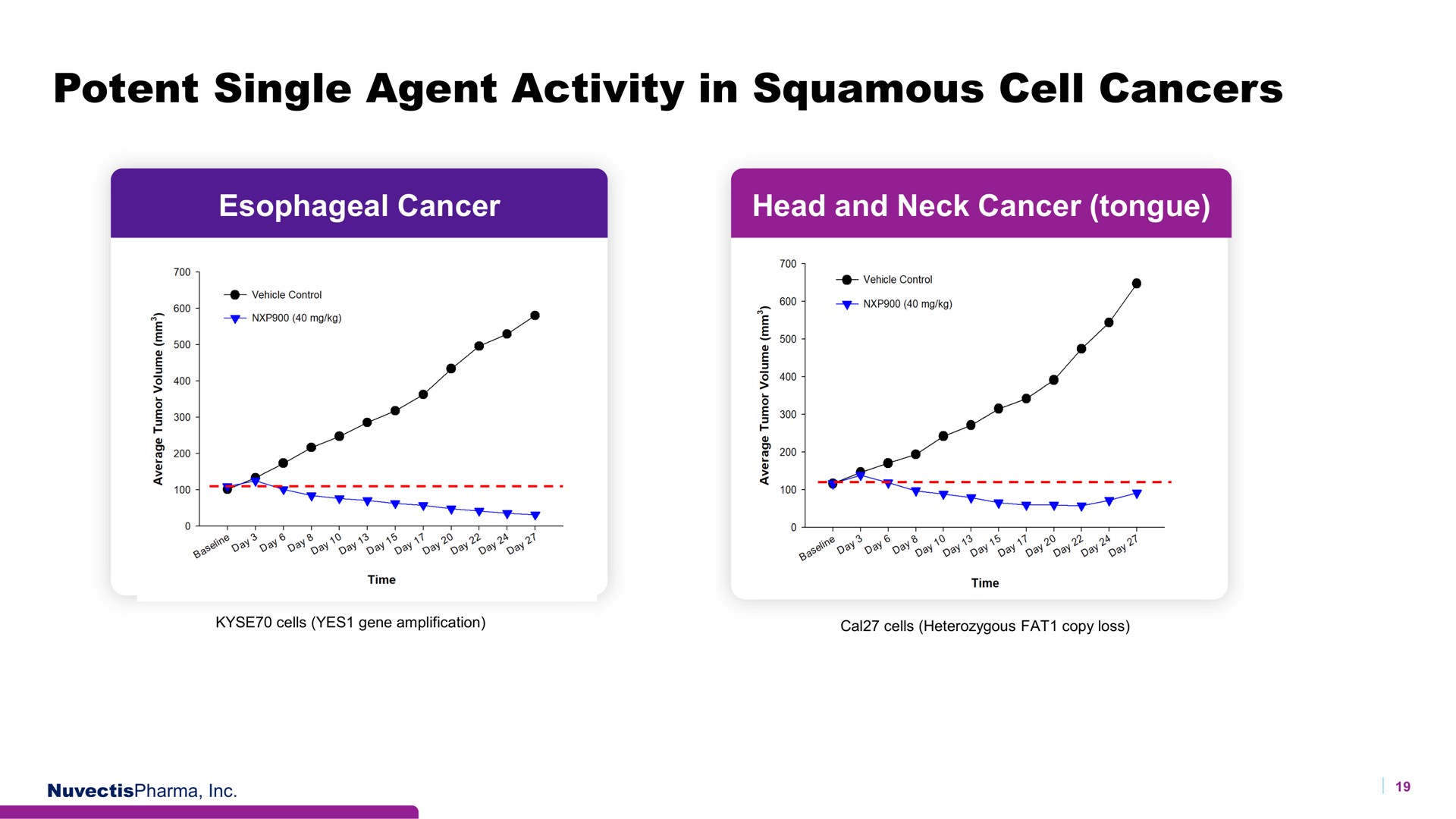 potent single agent activity in squamous cell cancers | Nuvectis Pharma