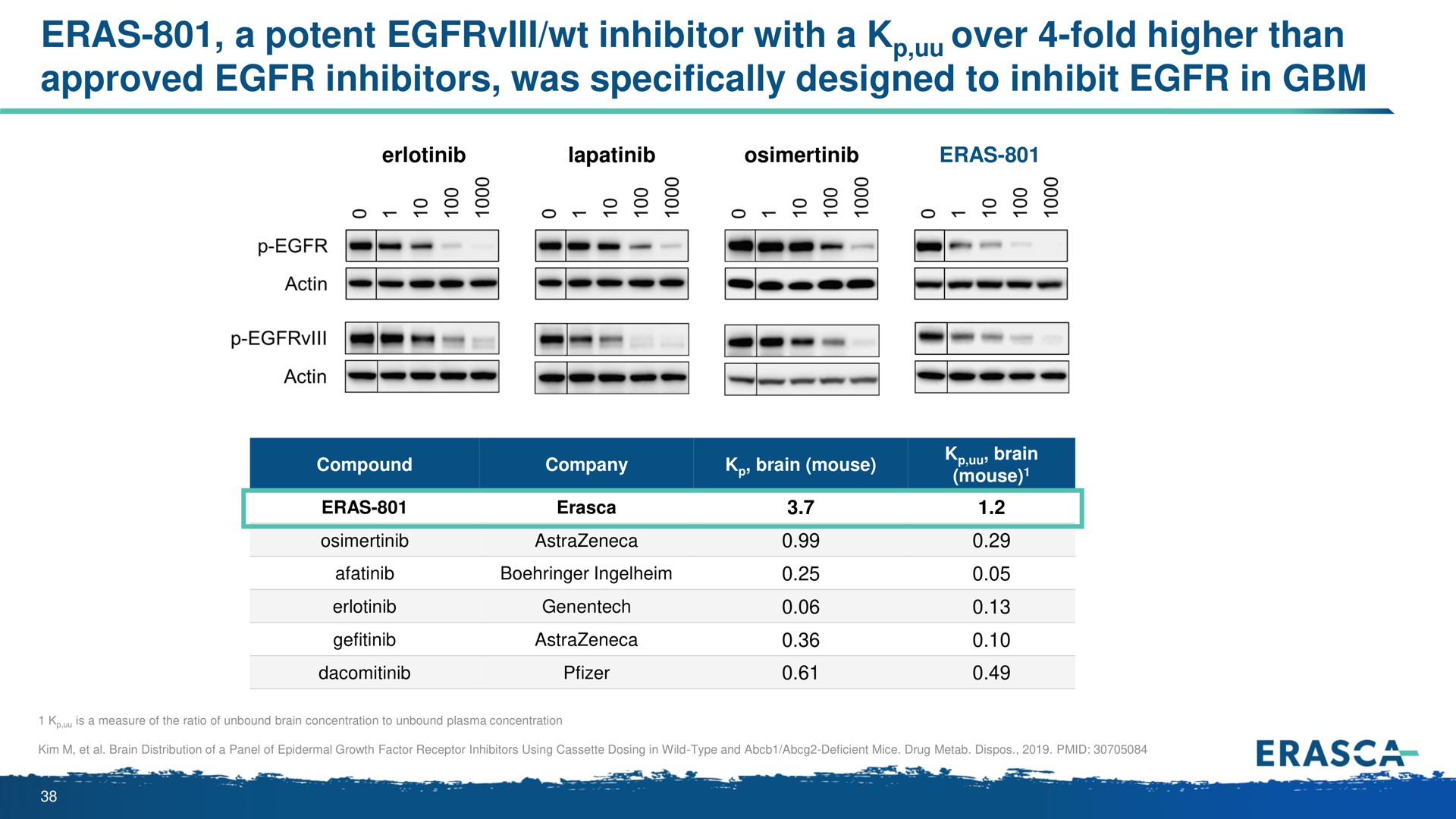 eras a potent inhibitor with a over fold higher than approved inhibitors was specifically designed to inhibit in | Erasca