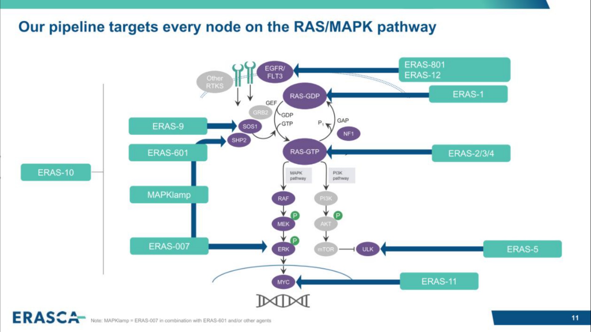 our pipeline targets every node on the ras pathway | Erasca