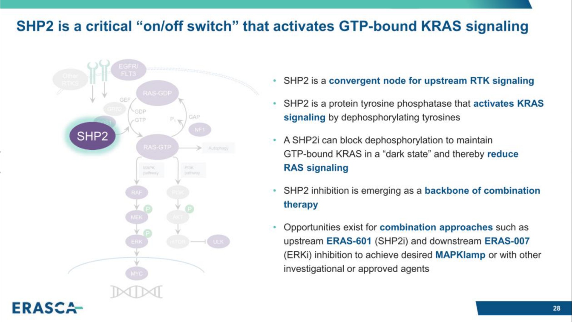 is a critical on off switch that activates bound kras signaling | Erasca