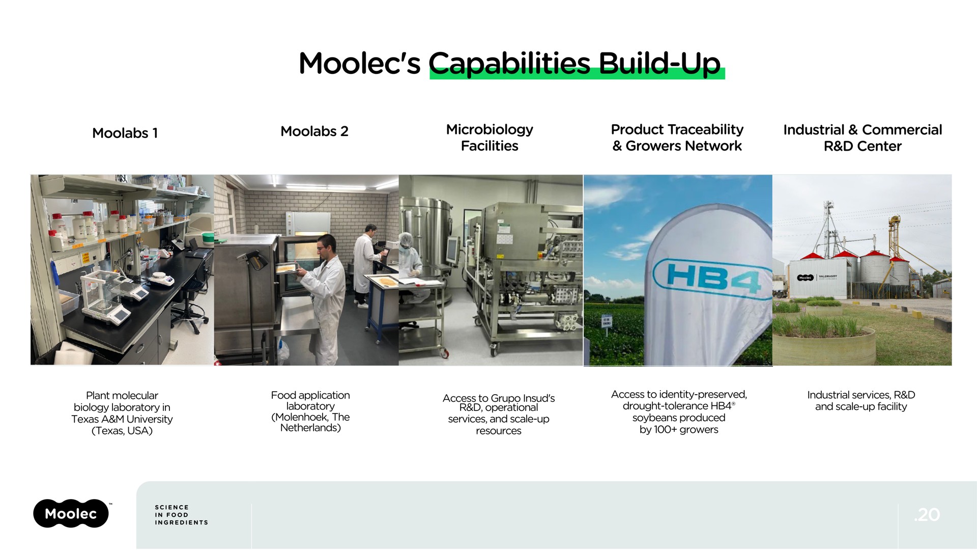 capabilities build up | Moolec Science