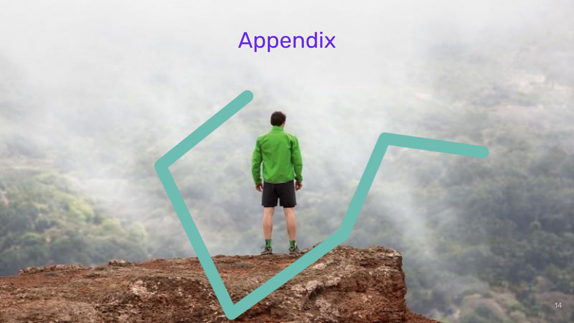 appendix | Despegar