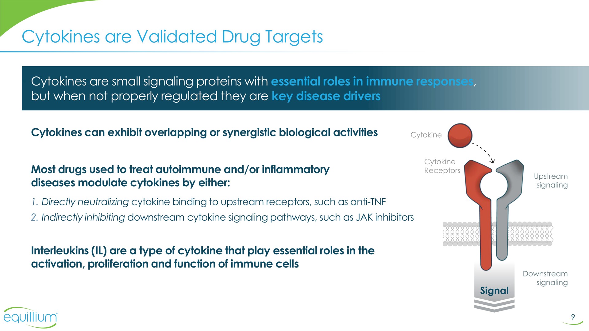 are validated drug targets | Equillium