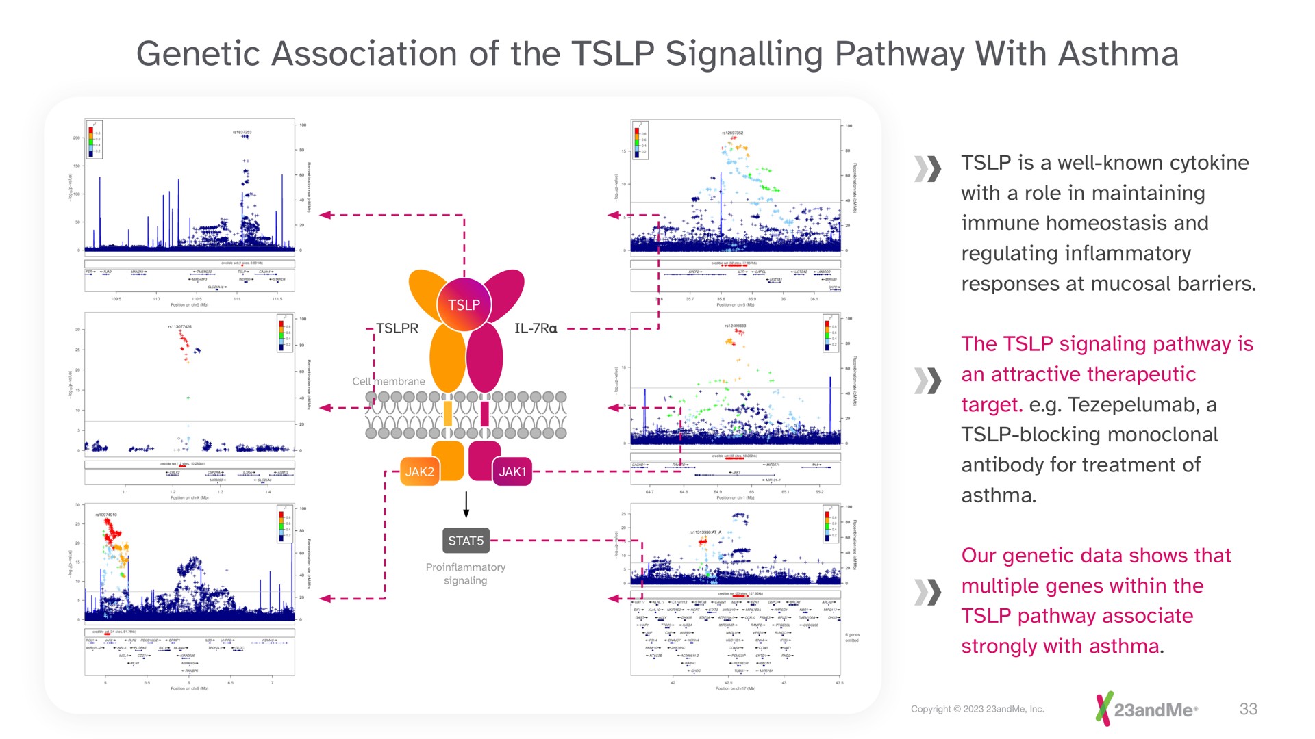 genetic association of the signalling pathway with asthma a | 23andMe