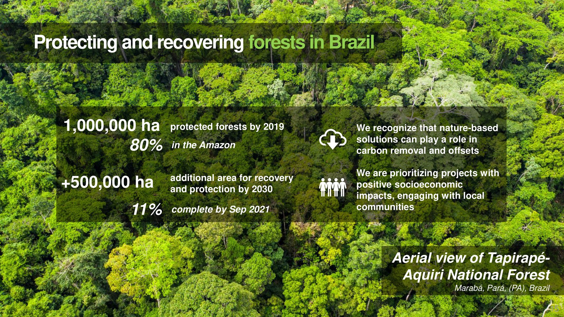 protecting and recovering forests in brazil aerial view of national forest | Vale