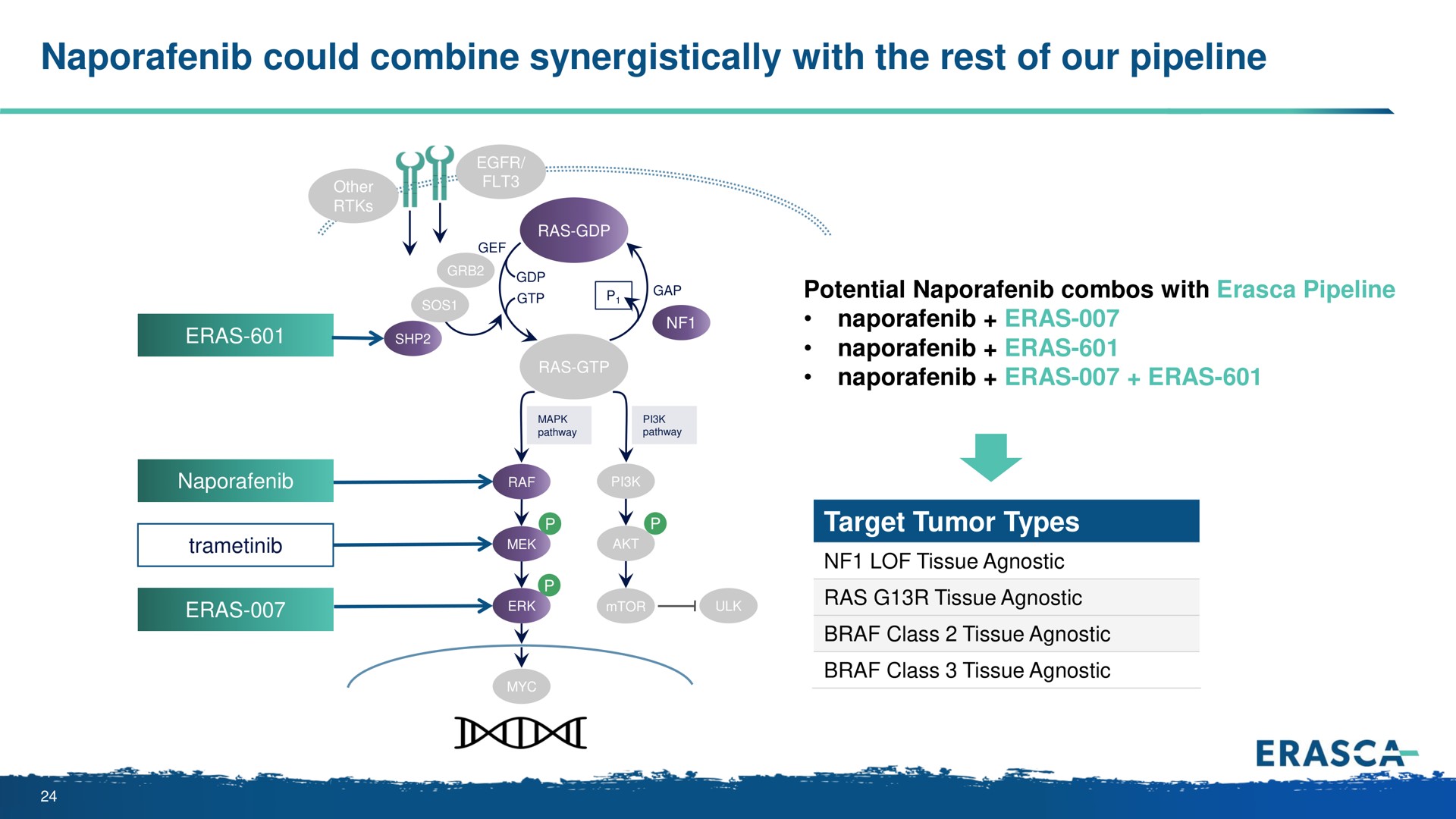 could combine synergistically with the rest of our pipeline seth i a eras | Erasca