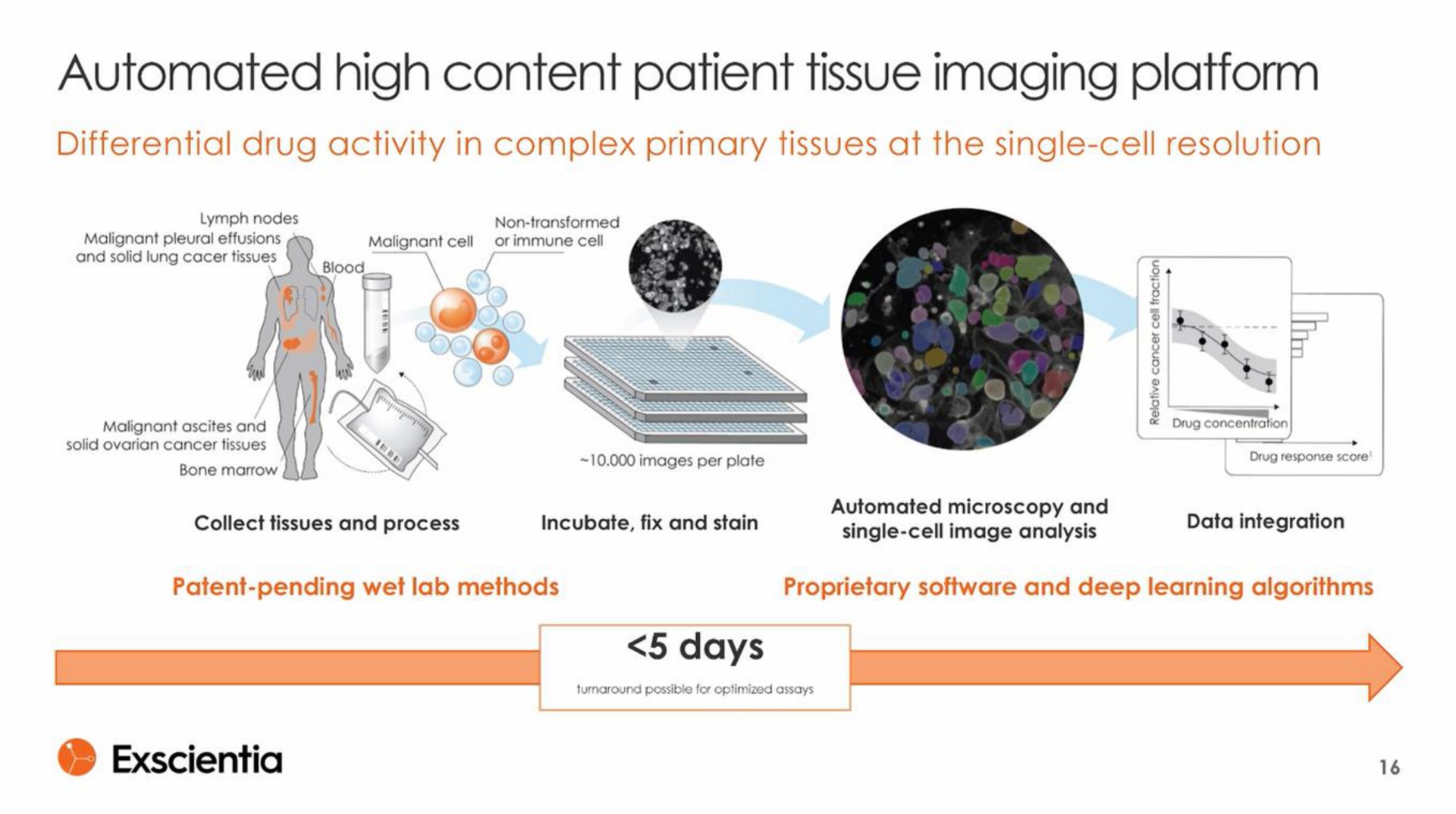 high content patient tissue imaging platform | Exscientia
