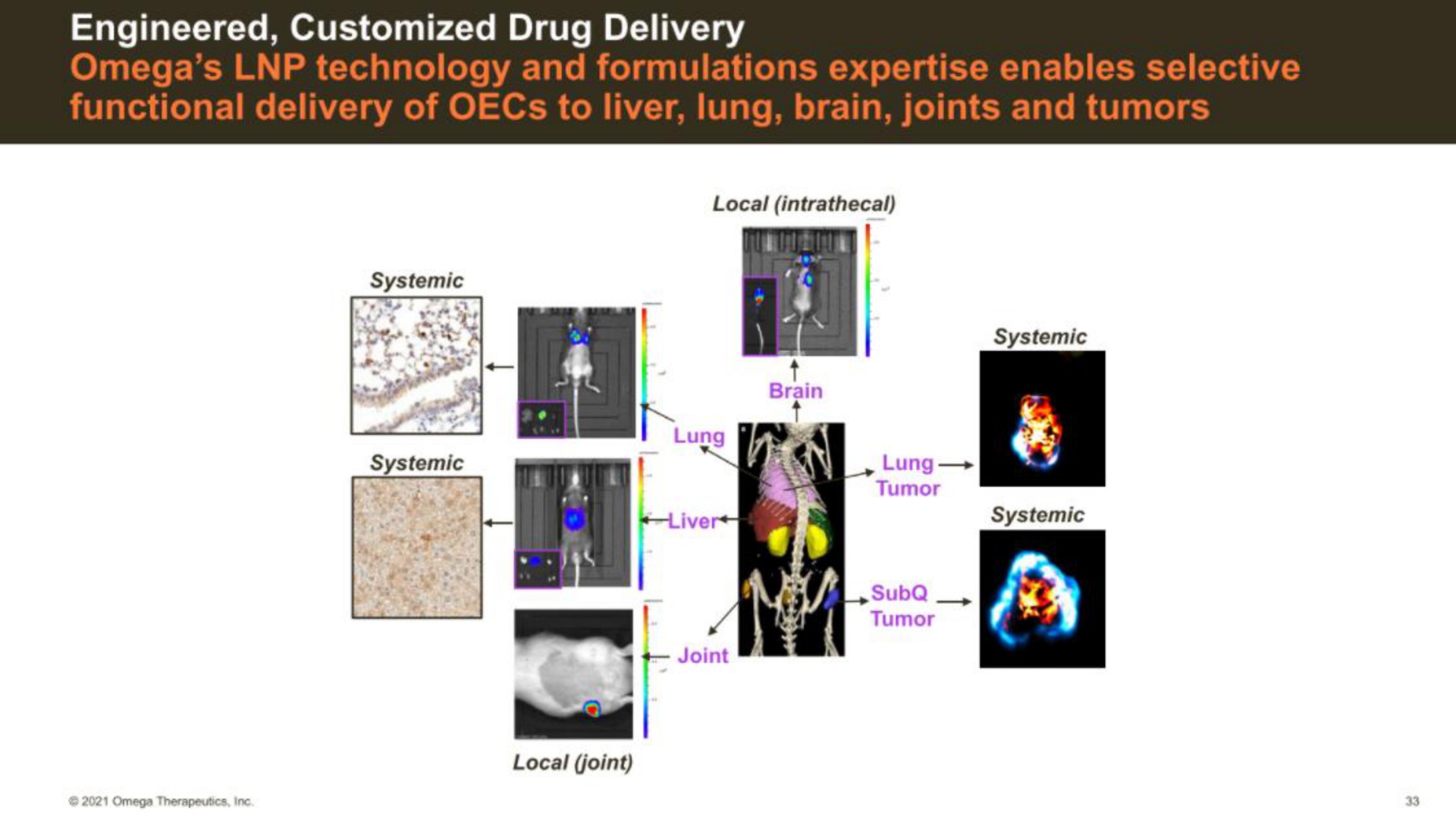 engineered drug delivery | Omega Therapeutics