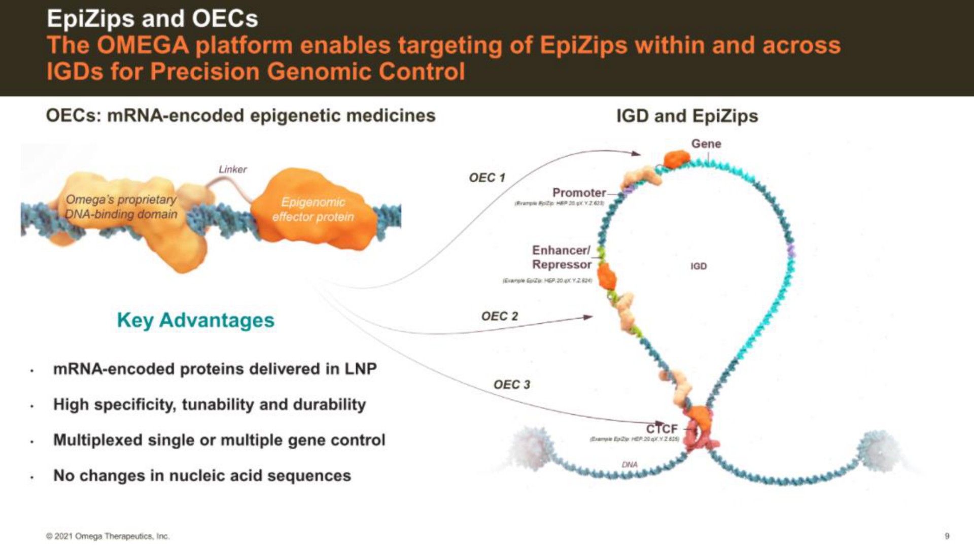 Omega Therapeutics IPO Presentation Deck | Slidebook.io