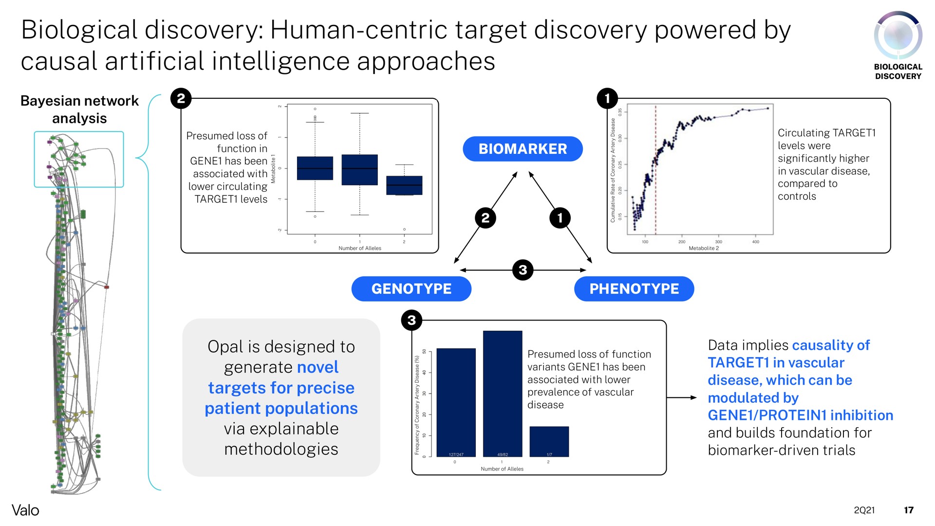 biological discovery human centric target discovery powered by causal intelligence approaches artificial a action gene protein inhibition patient populations | Valo