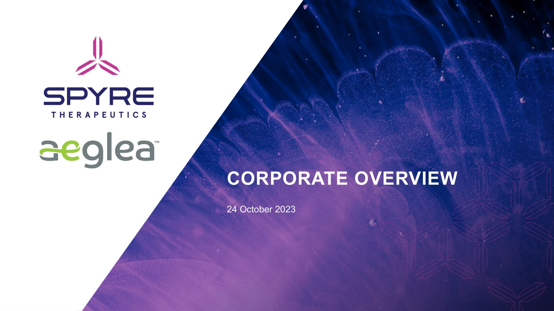 corporate overview a | Aeglea BioTherapeutics