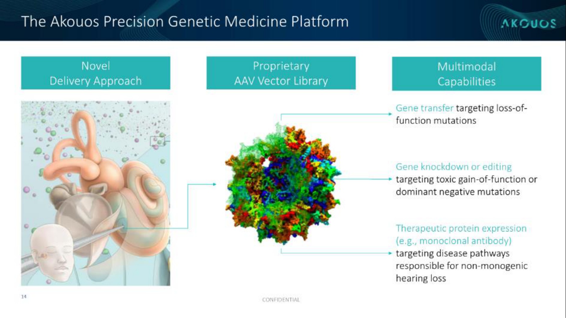 the precision genetic medicine platform | Akouos