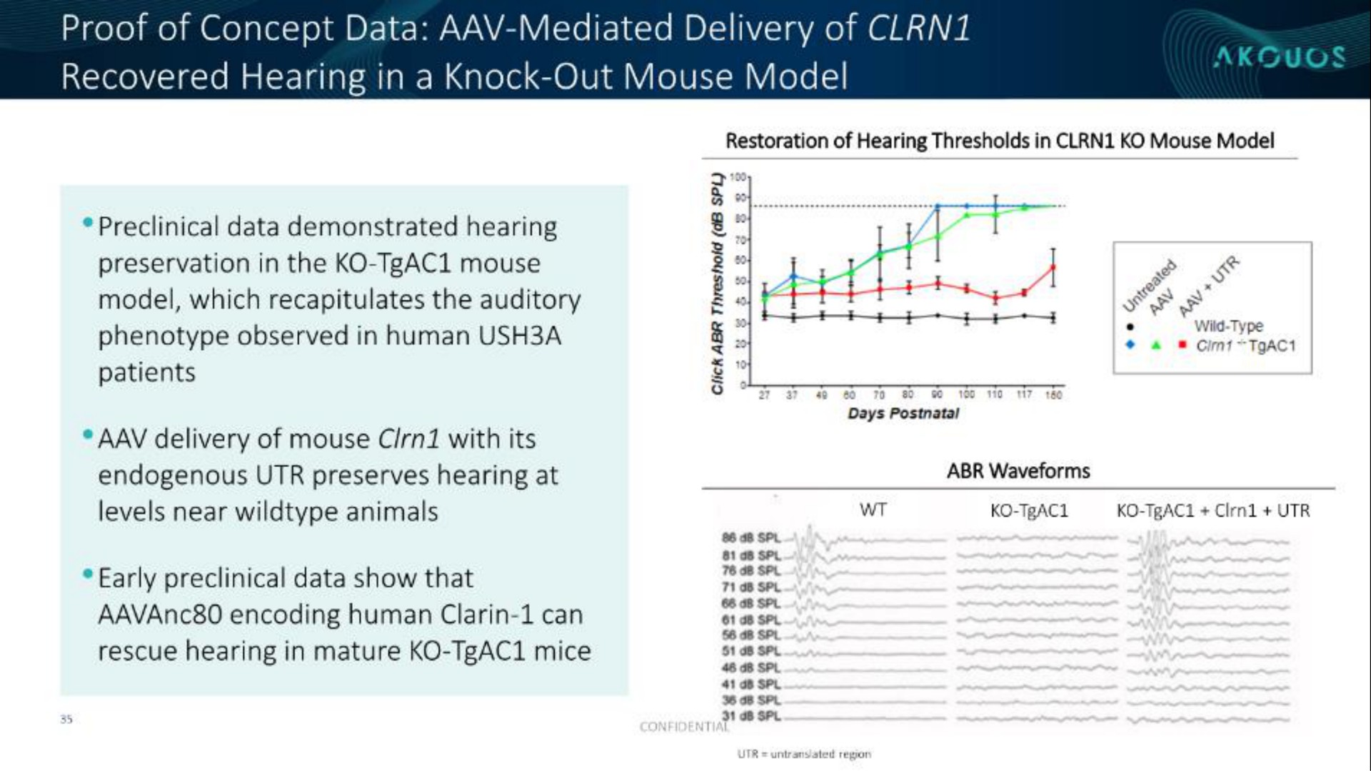 proof of concept data mediated delivery of recovered hearing in a knock out mouse model encoding human clarin can an | Akouos