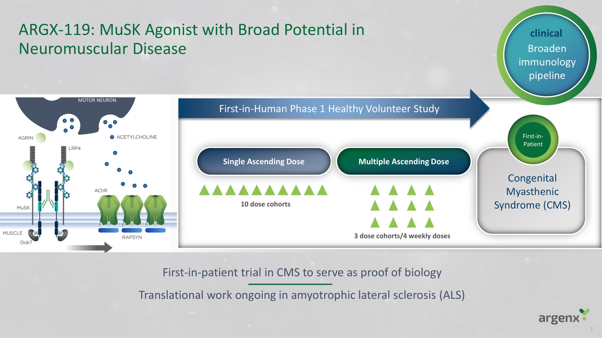 musk agonist with broad potential in neuromuscular disease | argenx SE