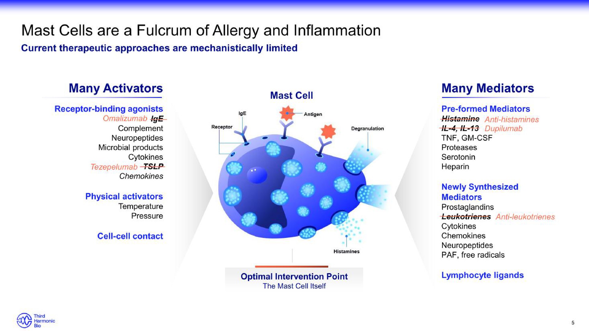 mast cells are a fulcrum of allergy and inflammation a | Third Harmonic Bio