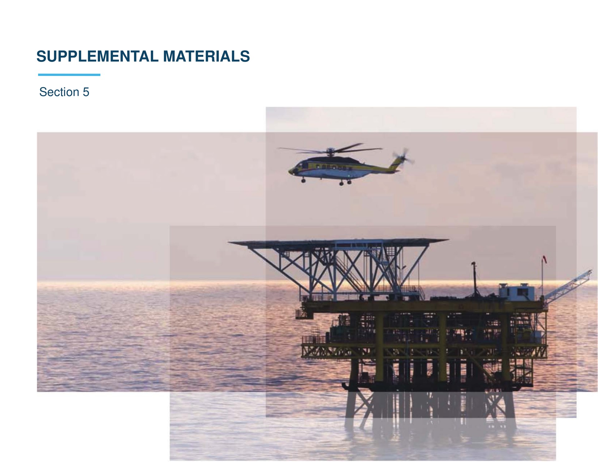 supplemental materials section | IGI