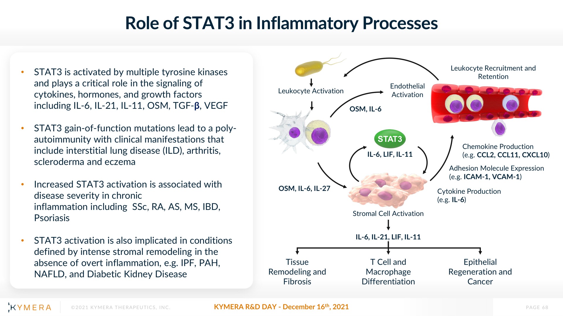 role of in inflammatory processes | Kymera