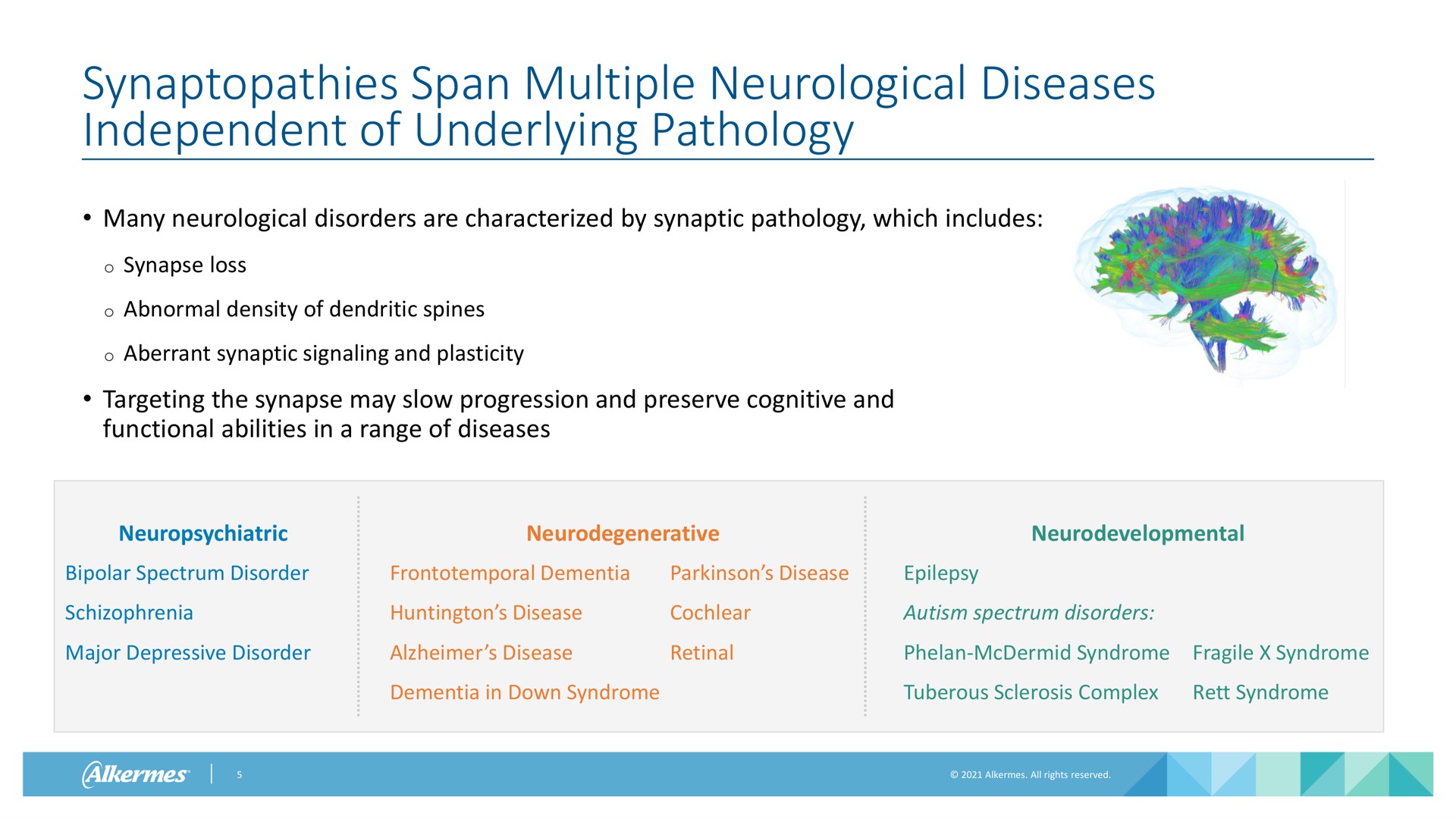 span multiple neurological diseases independent of underlying pathology many neurological disorders are characterized by synaptic pathology which includes synapse loss abnormal density of dendritic spines aberrant synaptic signaling and plasticity targeting the synapse may slow progression and preserve cognitive and functional abilities in a range of diseases neuropsychiatric neurodegenerative bipolar spectrum disorder frontotemporal dementia disease epilepsy schizophrenia disease major depressive disorder disease cochlear retinal autism spectrum disorders syndrome fragile syndrome dementia in down syndrome tuberous sclerosis complex syndrome | Alkermes