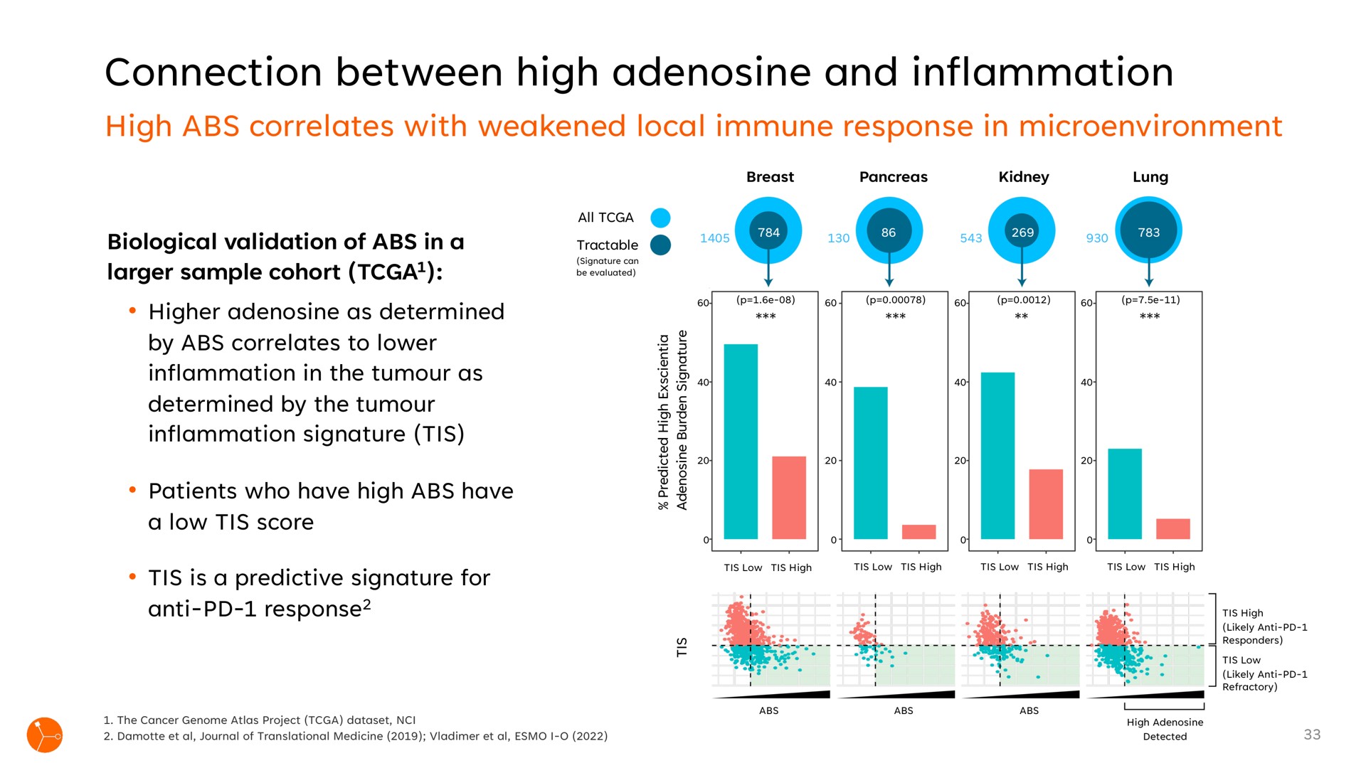 connection between high adenosine and inflammation | Exscientia