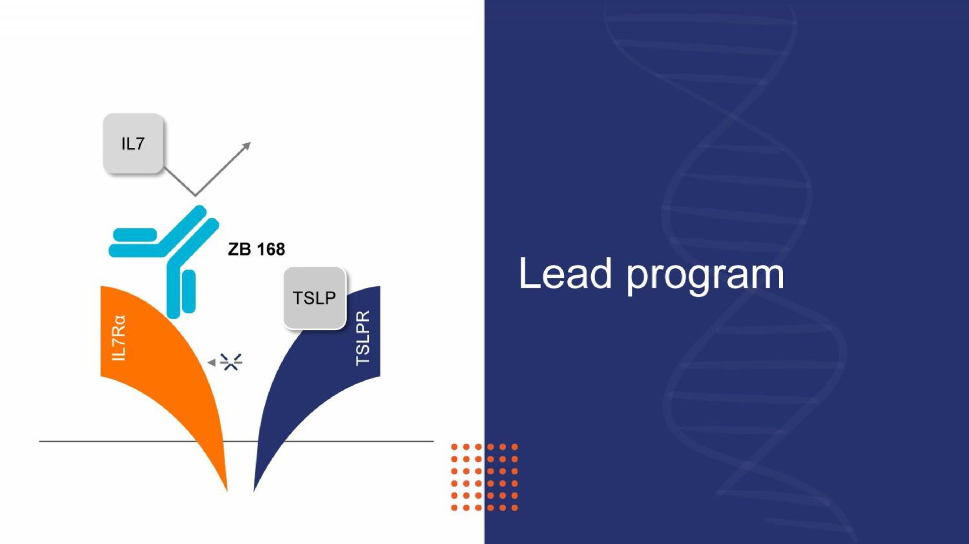lead program | Zurabio