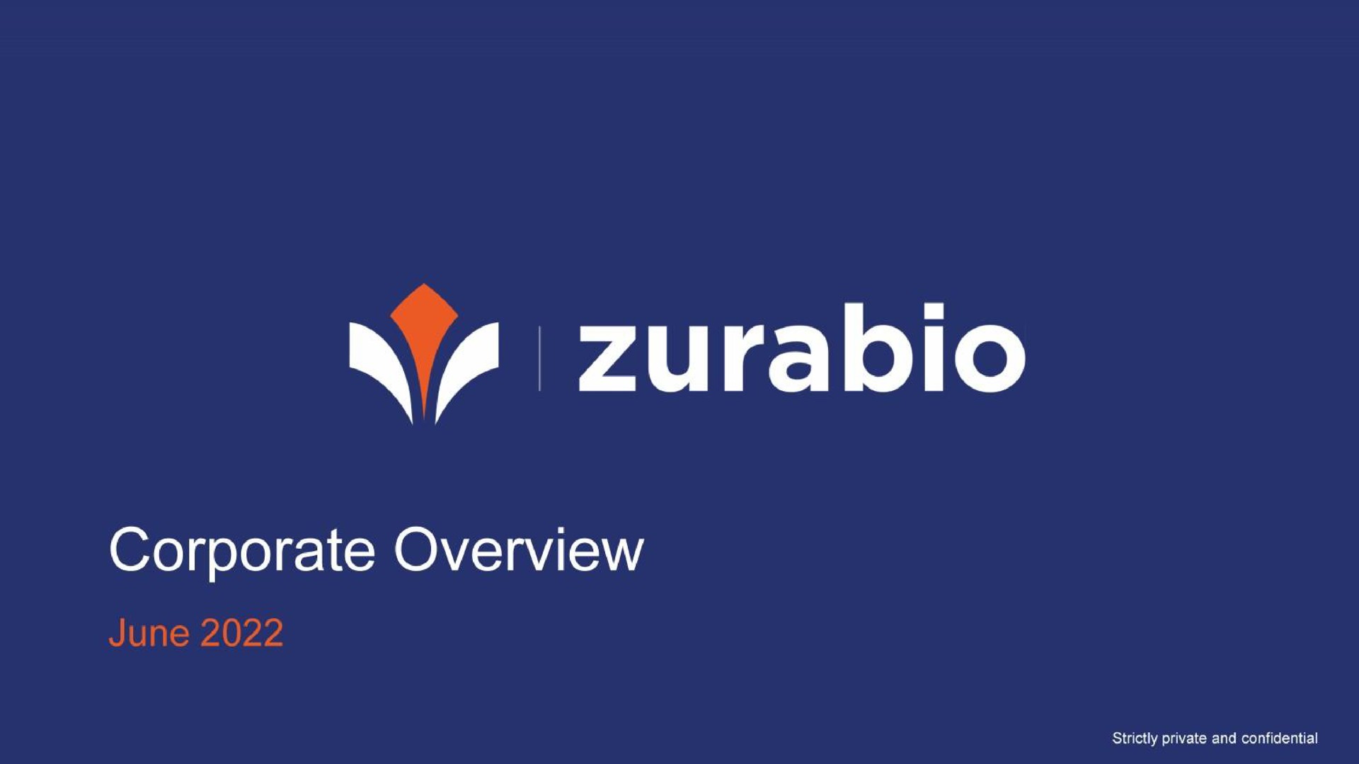 a corporate overview | Zurabio