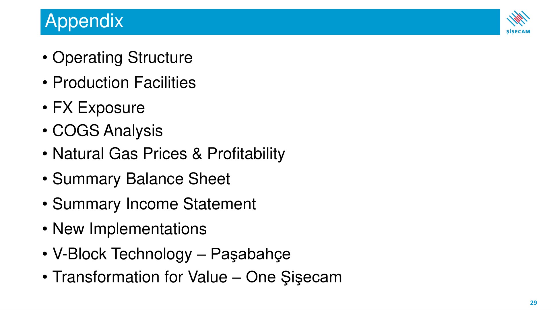 appendix operating structure production facilities exposure cogs analysis natural gas prices profitability summary balance sheet summary income statement new implementations block technology transformation for value one i | Sisecam Resources