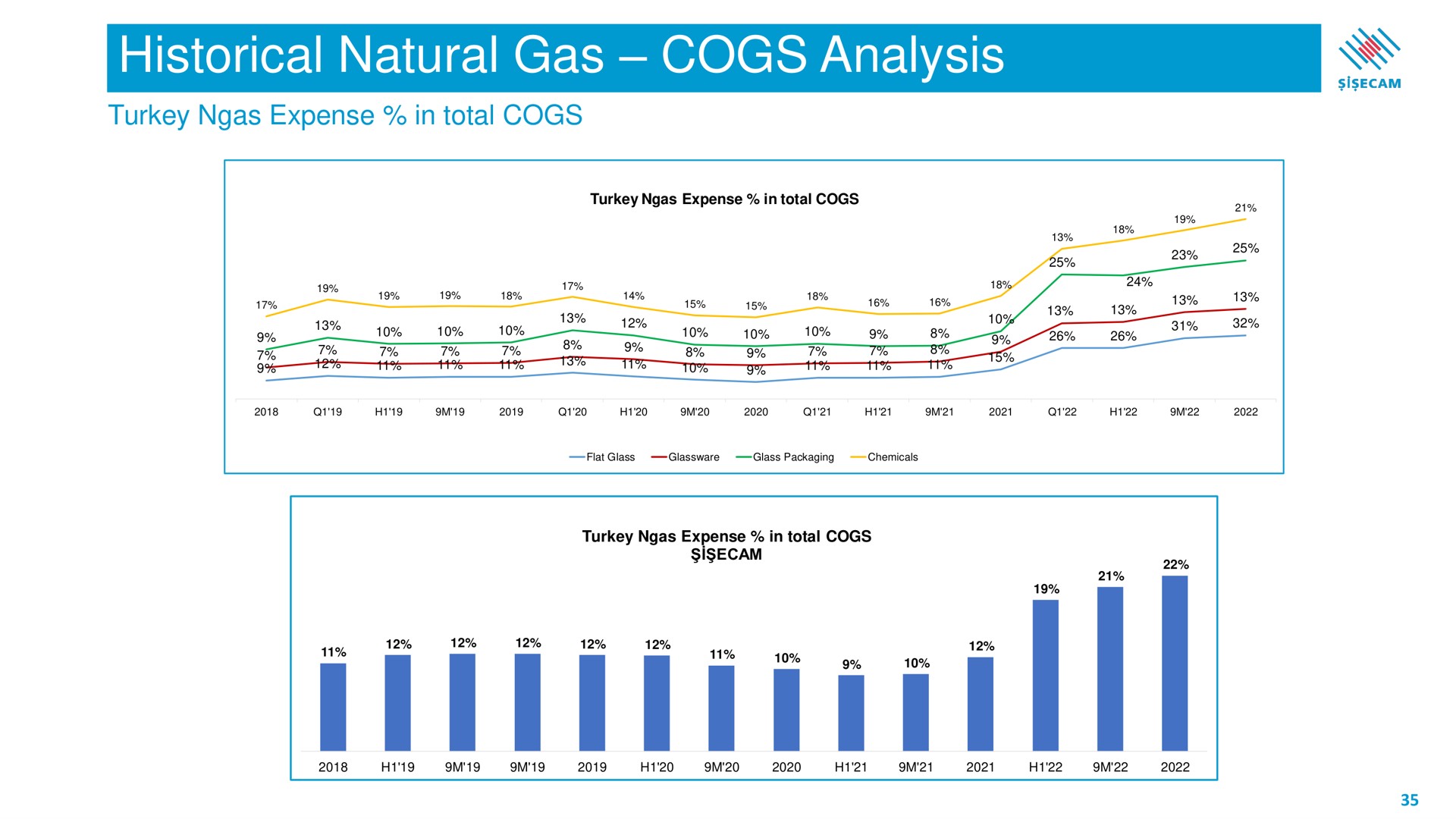historical natural gas cogs analysis | Sisecam Resources