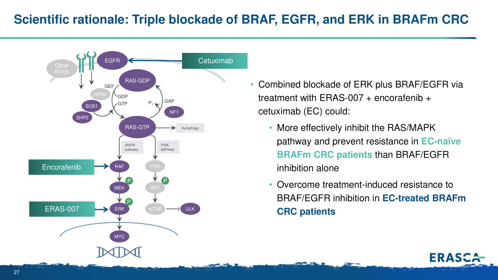 scientific rationale triple blockade of and in patients than | Erasca