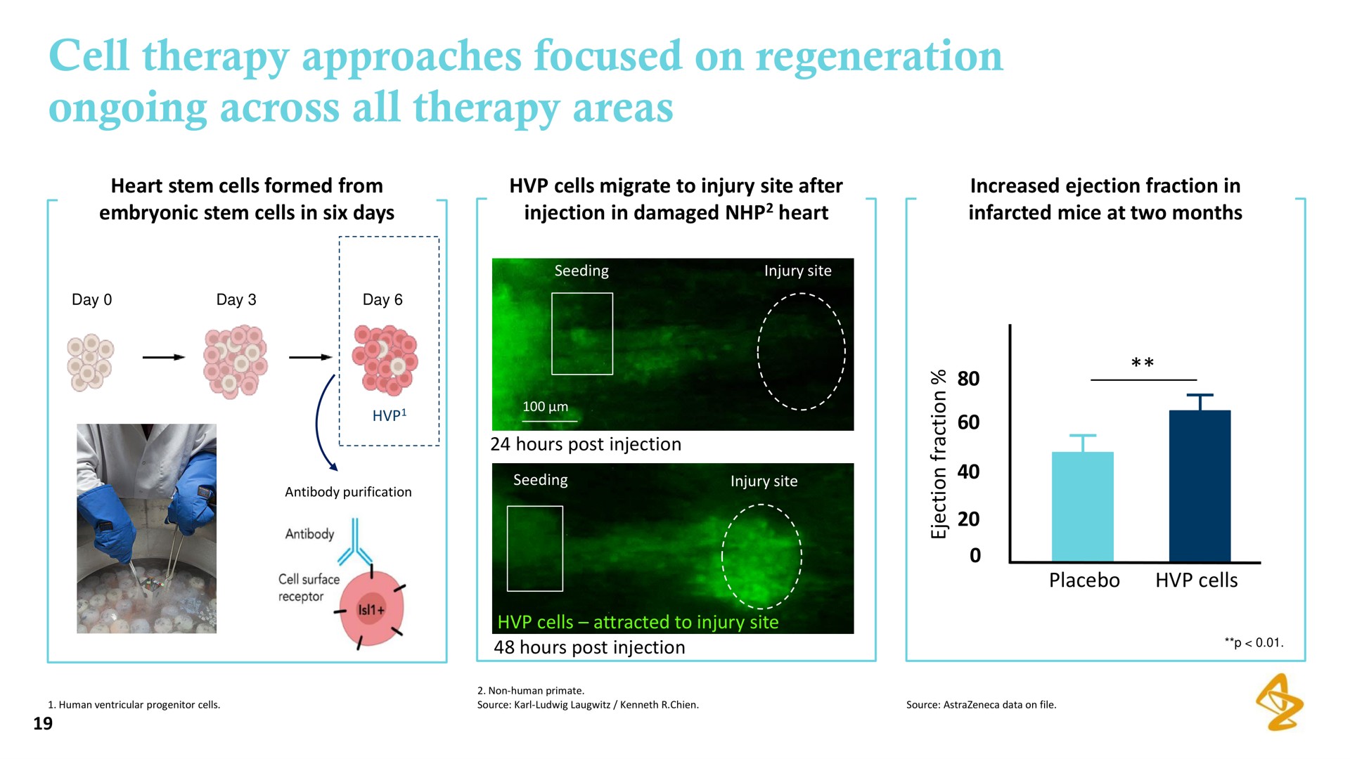 cell therapy approaches focused on regeneration ongoing across all therapy areas | AstraZeneca