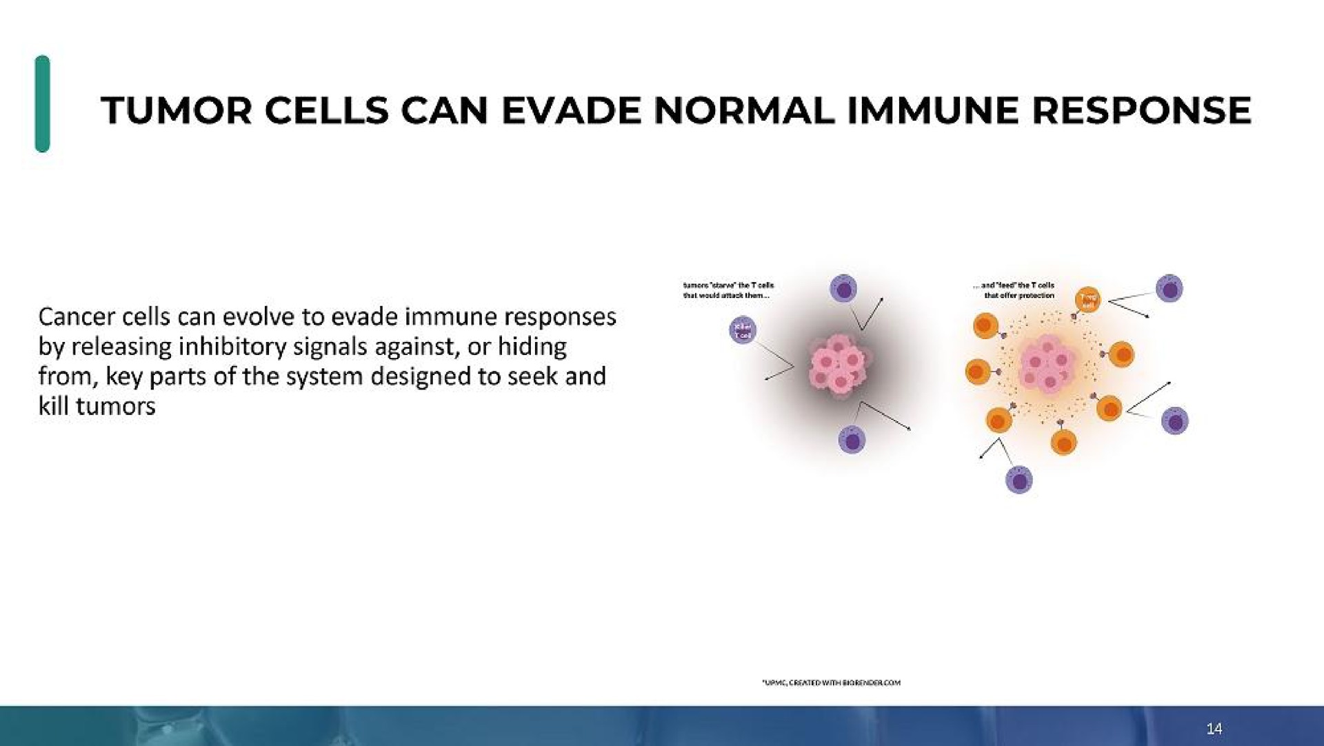 tumor cells can evade normal immune response | Enochian Biosciences