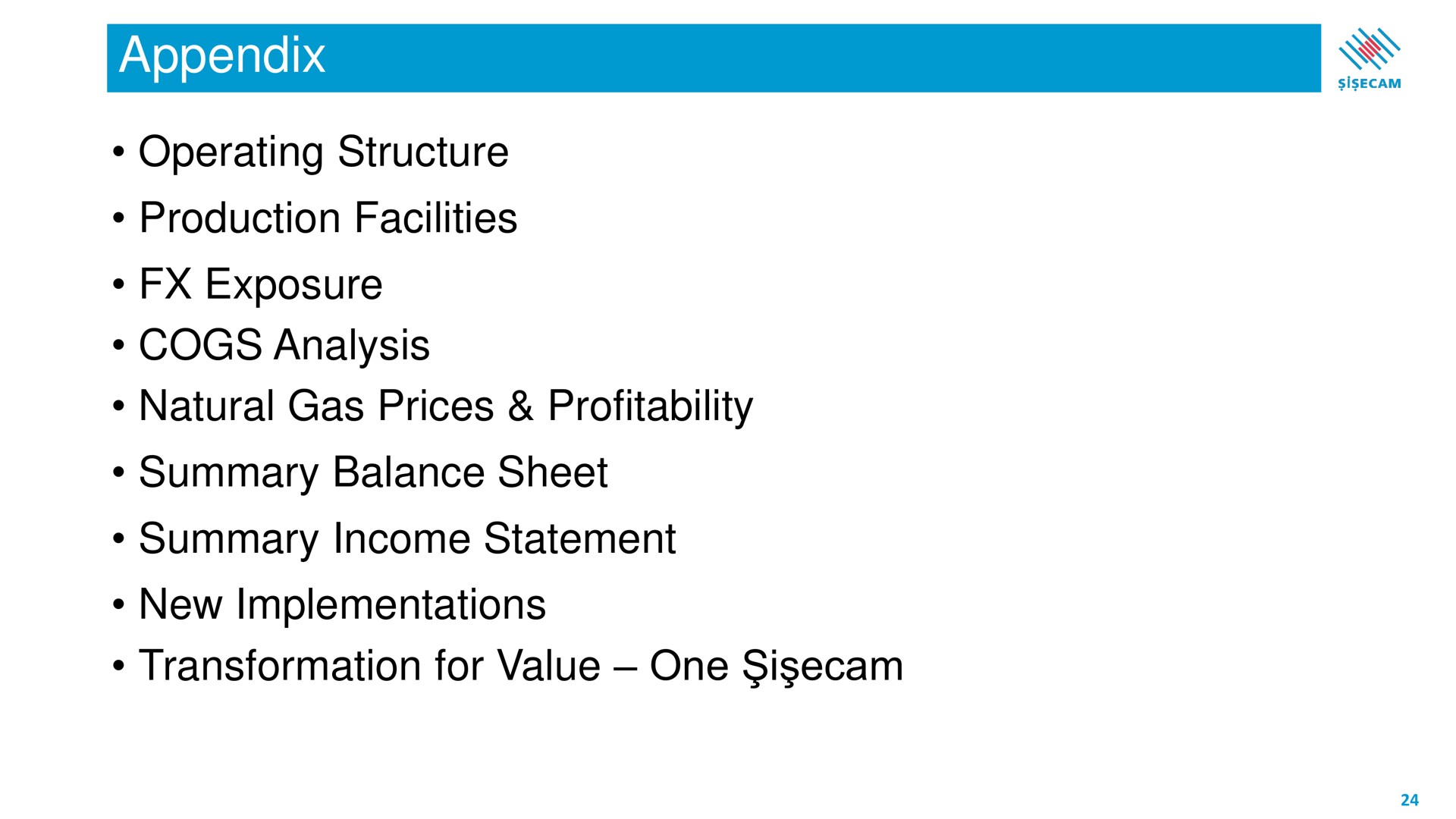 appendix operating structure production facilities exposure cogs analysis natural gas prices profitability summary balance sheet summary income statement new implementations transformation for value one i | Sisecam Resources