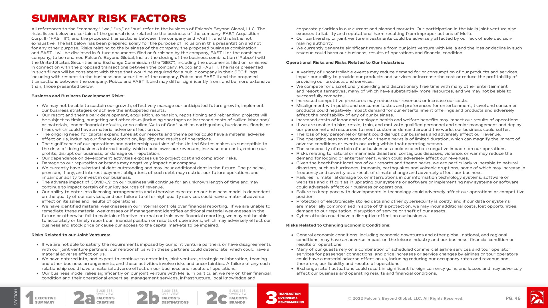 summary risk factors brands | Falcon's Beyond