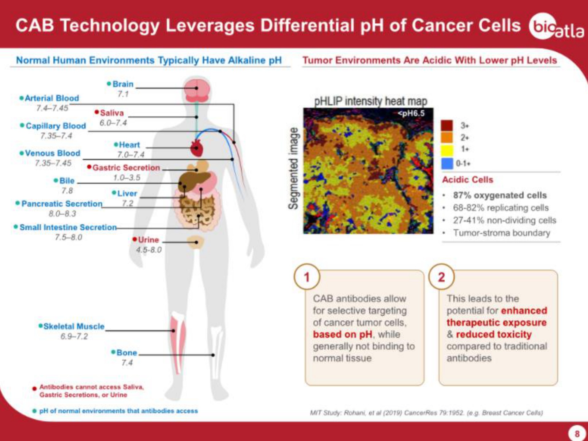 cab technology leverages differential of cancer cells | BioAtla