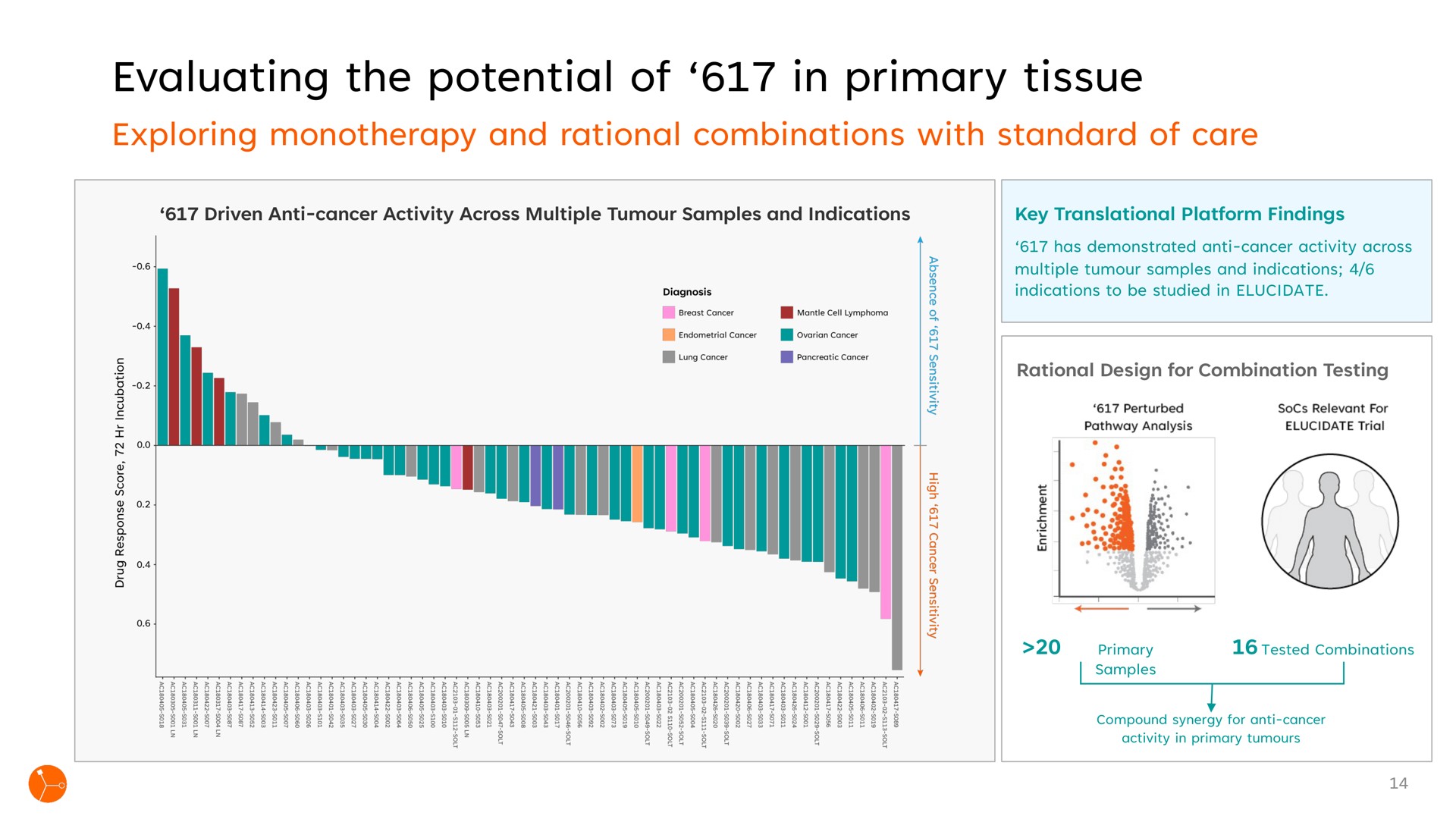 evaluating the potential of in primary tissue exploring and rational combinations with standard of care | Exscientia