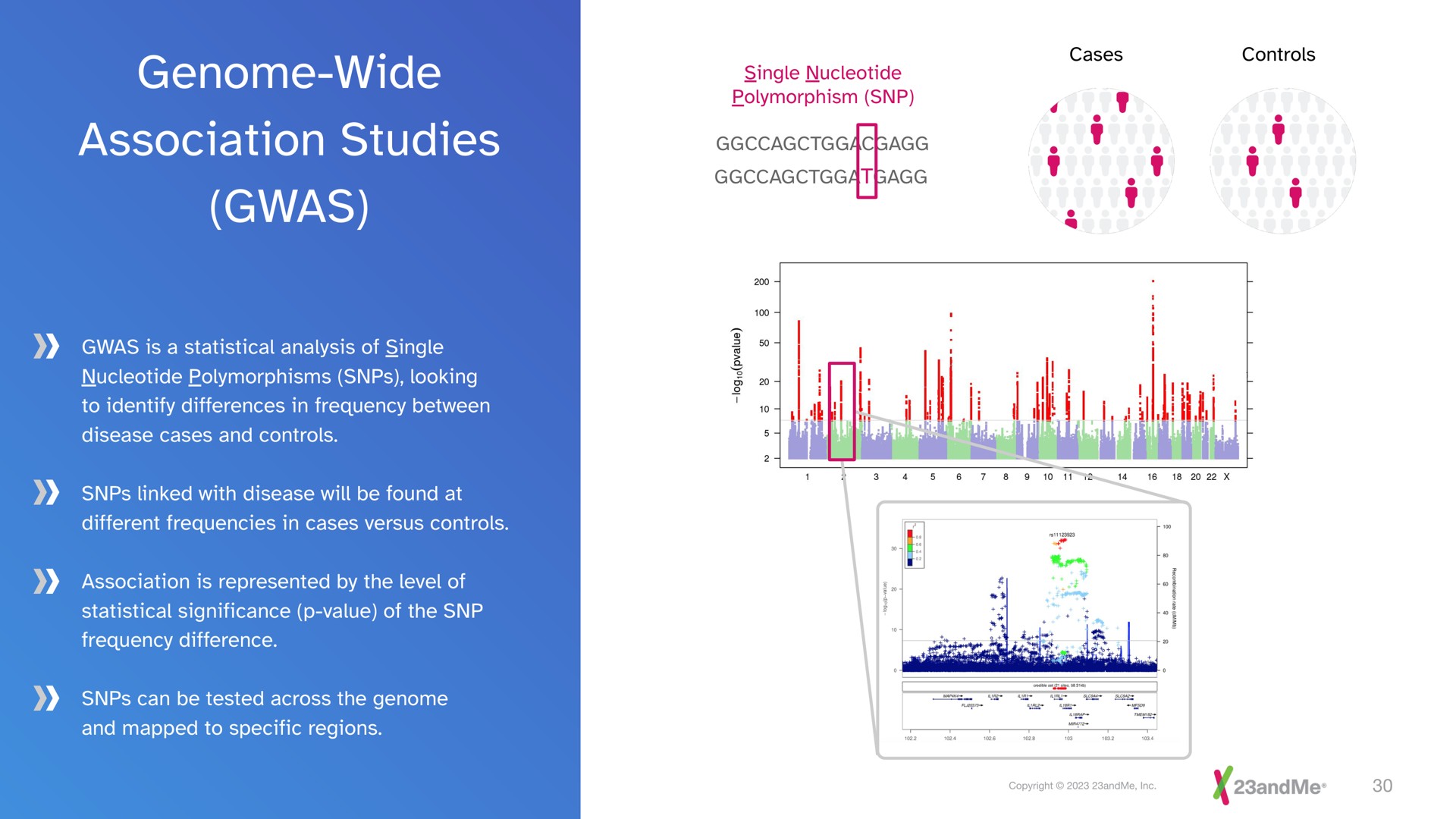 genome wide association studies | 23andMe